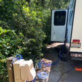 Review photo of Jessie M. Honeyman Memorial State Park Campground by Kyle , July 19, 2025