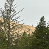 Review photo of Jessie M. Honeyman Memorial State Park Campground by Teresa A., January 5, 2026