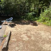 Review photo of Jessie M. Honeyman Memorial State Park Campground by Kyle , July 19, 2025