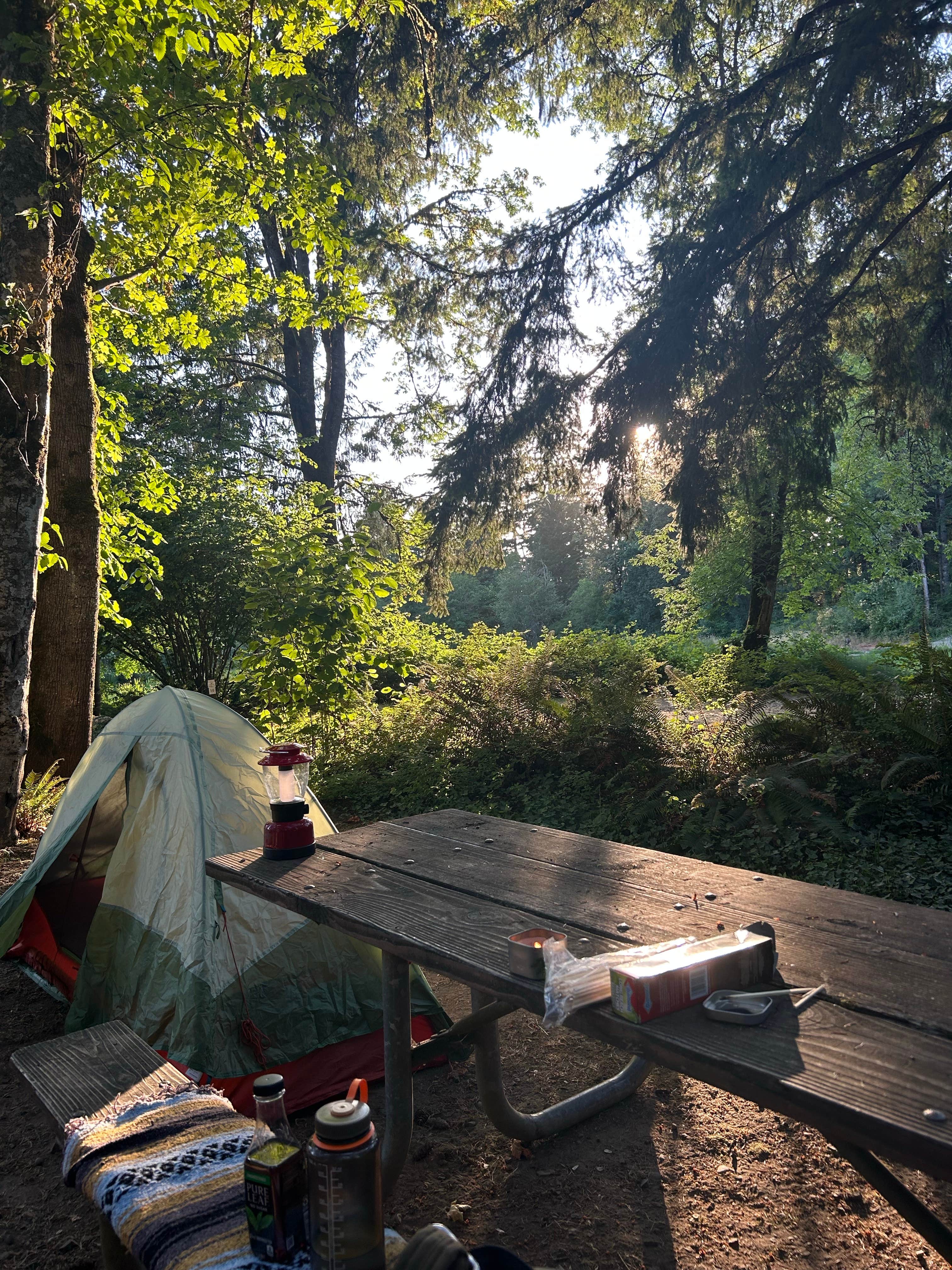 Kennedy F.'s photo at John Neal Memorial Park near Sublimity, OR