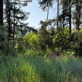 Review photo of Joseph H. Stewart County Park by Kim G., June 12, 2025