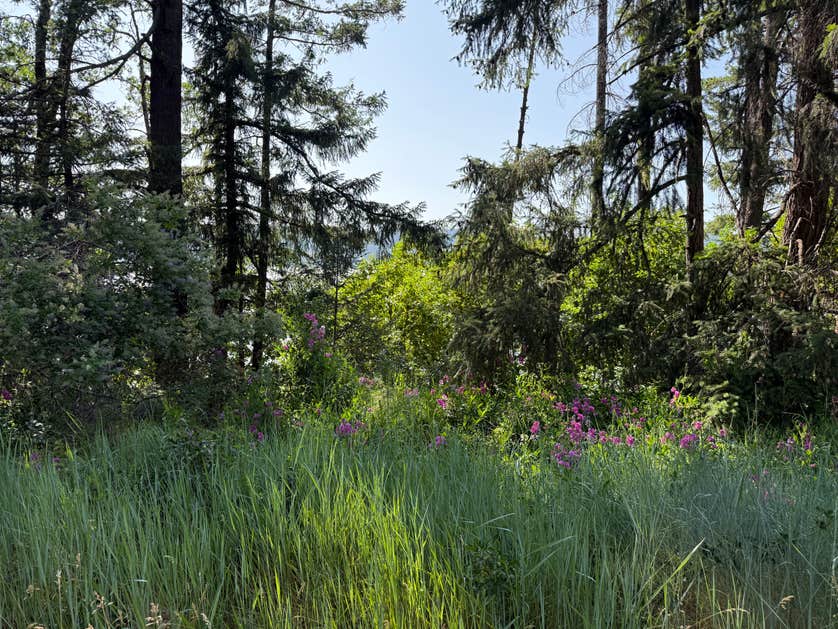 Tent and picnic setup at Joseph H Stewart recreation area