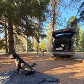 Review photo of Joseph H. Stewart County Park by Meredith M., October 2, 2026