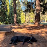 Review photo of Joseph H. Stewart County Park by Meredith M., October 2, 2026