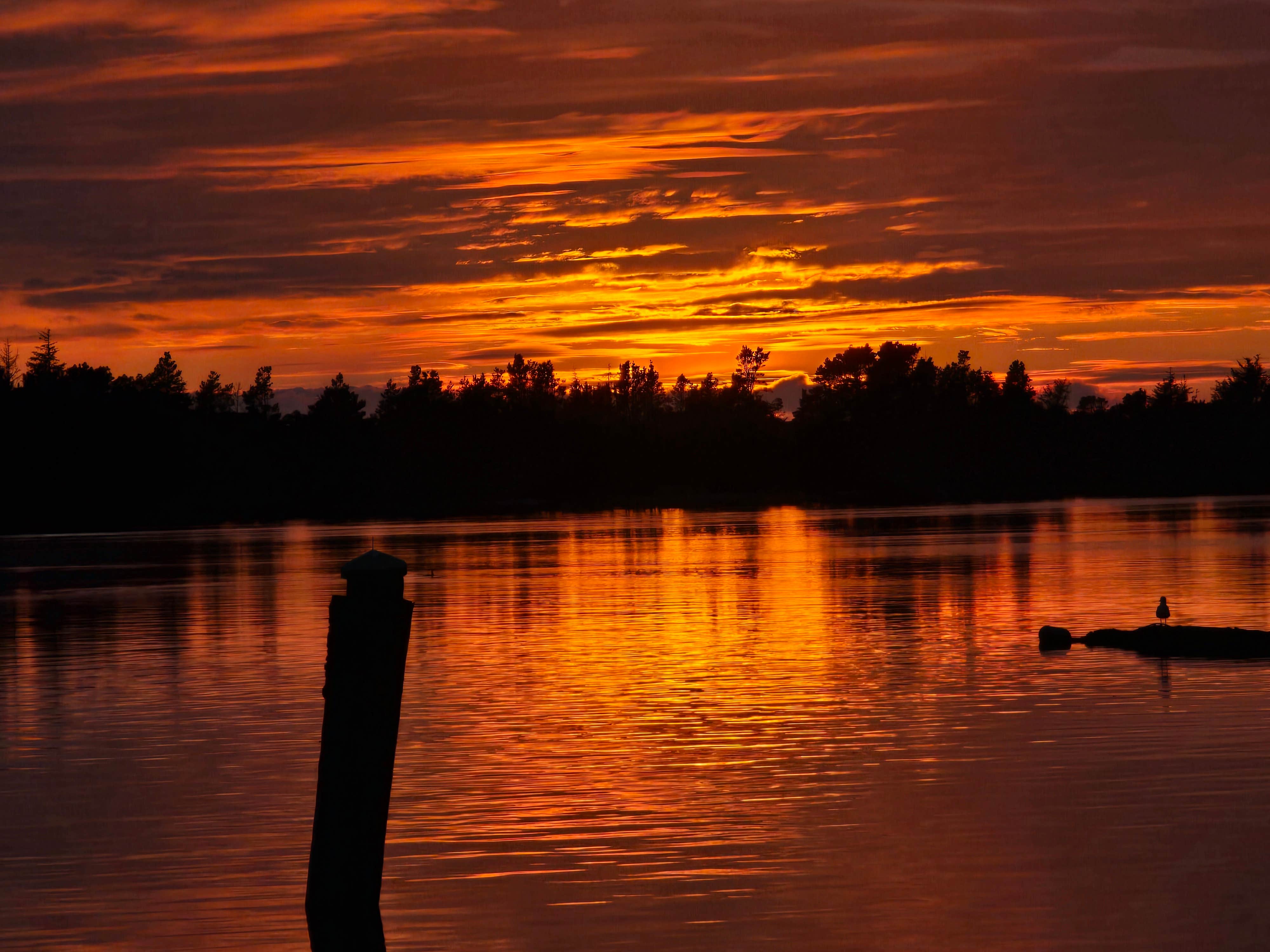 Camper-submitted photo at Kelly's Brighton Marina near Nehalem, OR