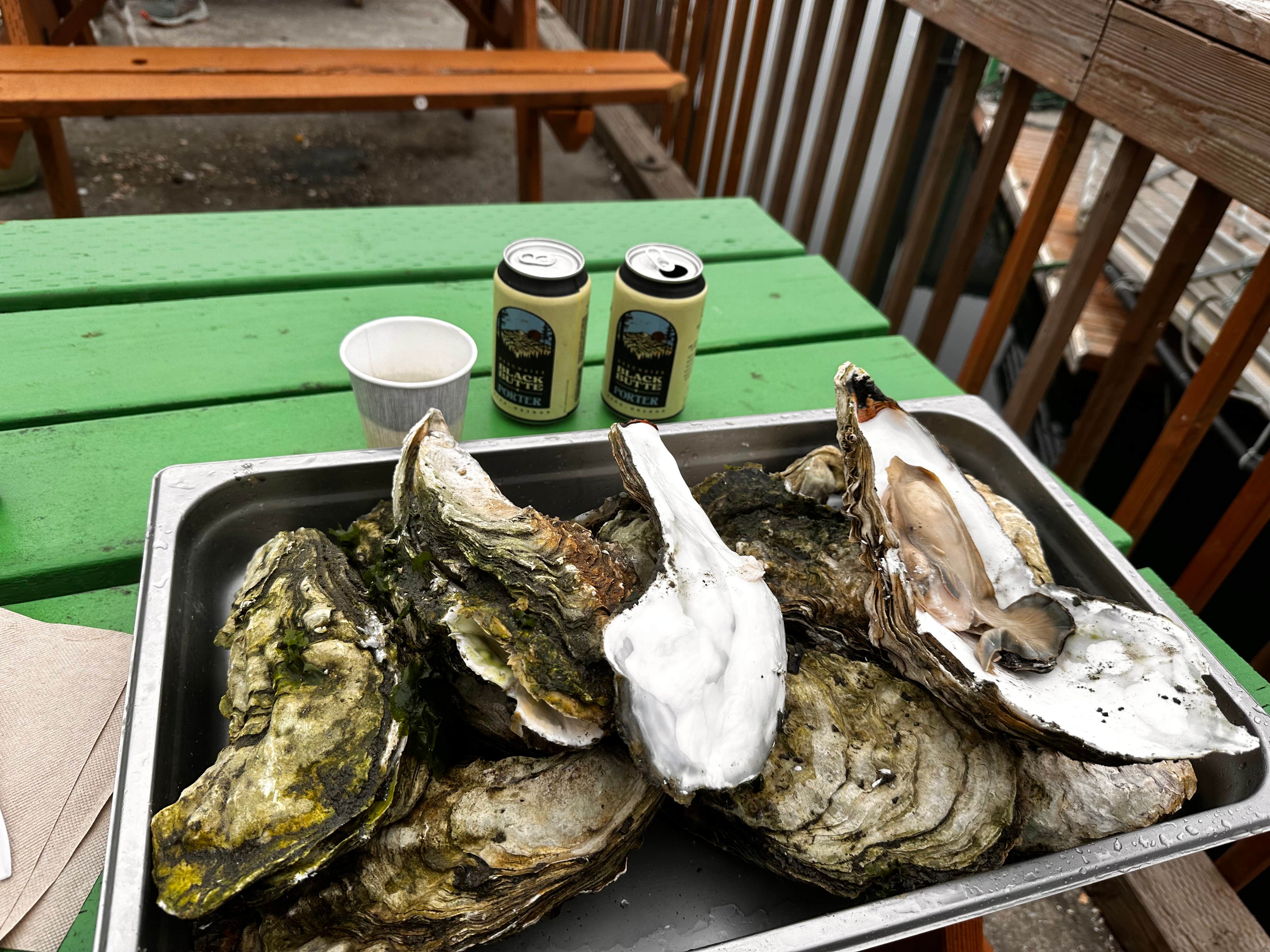 Camper-submitted photo at Kelly's Brighton Marina near Nehalem, OR