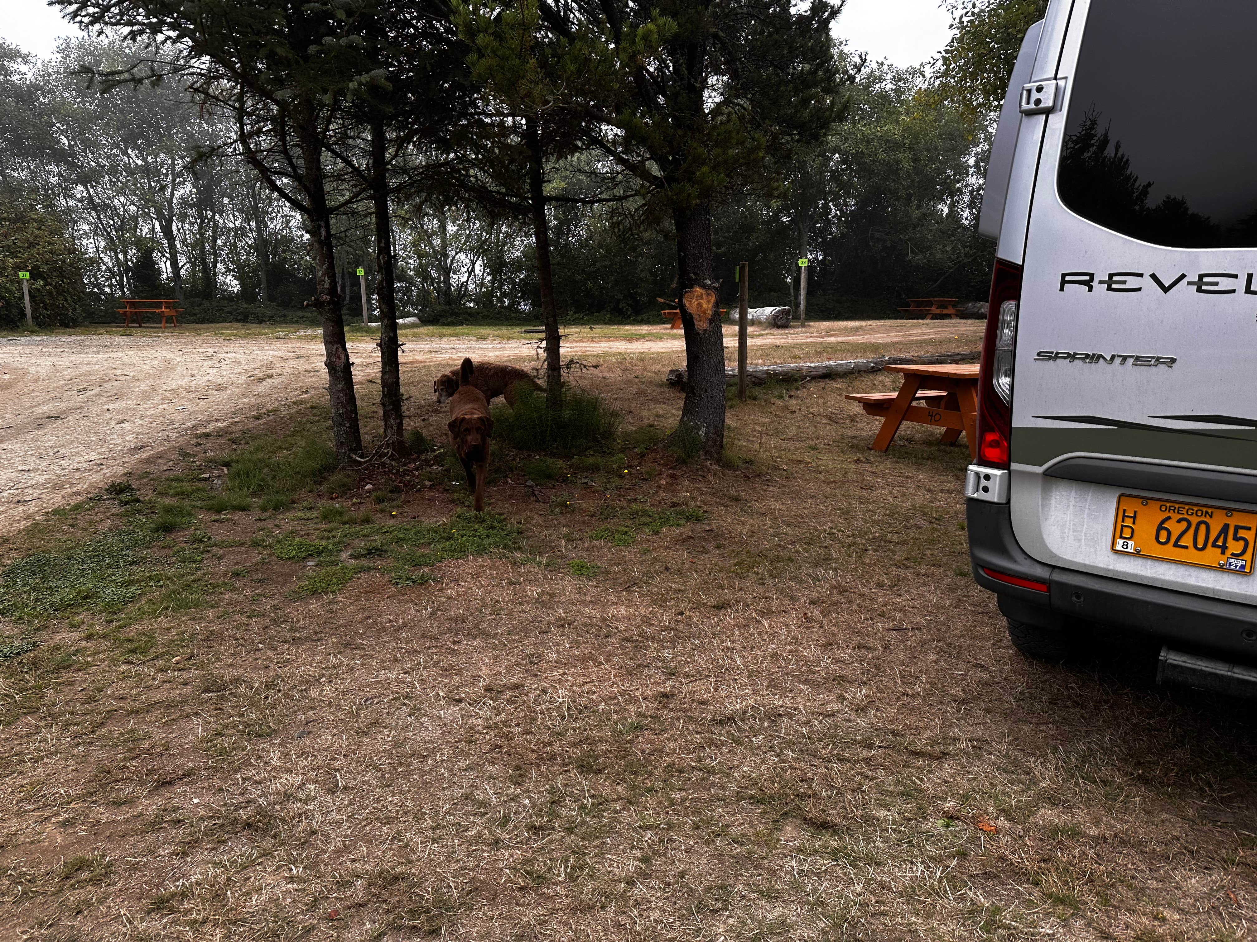 Dave C.'s photo of camping with pets at Kelly's Brighton Marina near Cannon Beach, OR