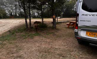Dave C.'s photo of camping with pets at Kelly's Brighton Marina near Cannon Beach, OR