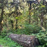 Review photo of Kiahanie Campground by Ash N., June 28, 2026
