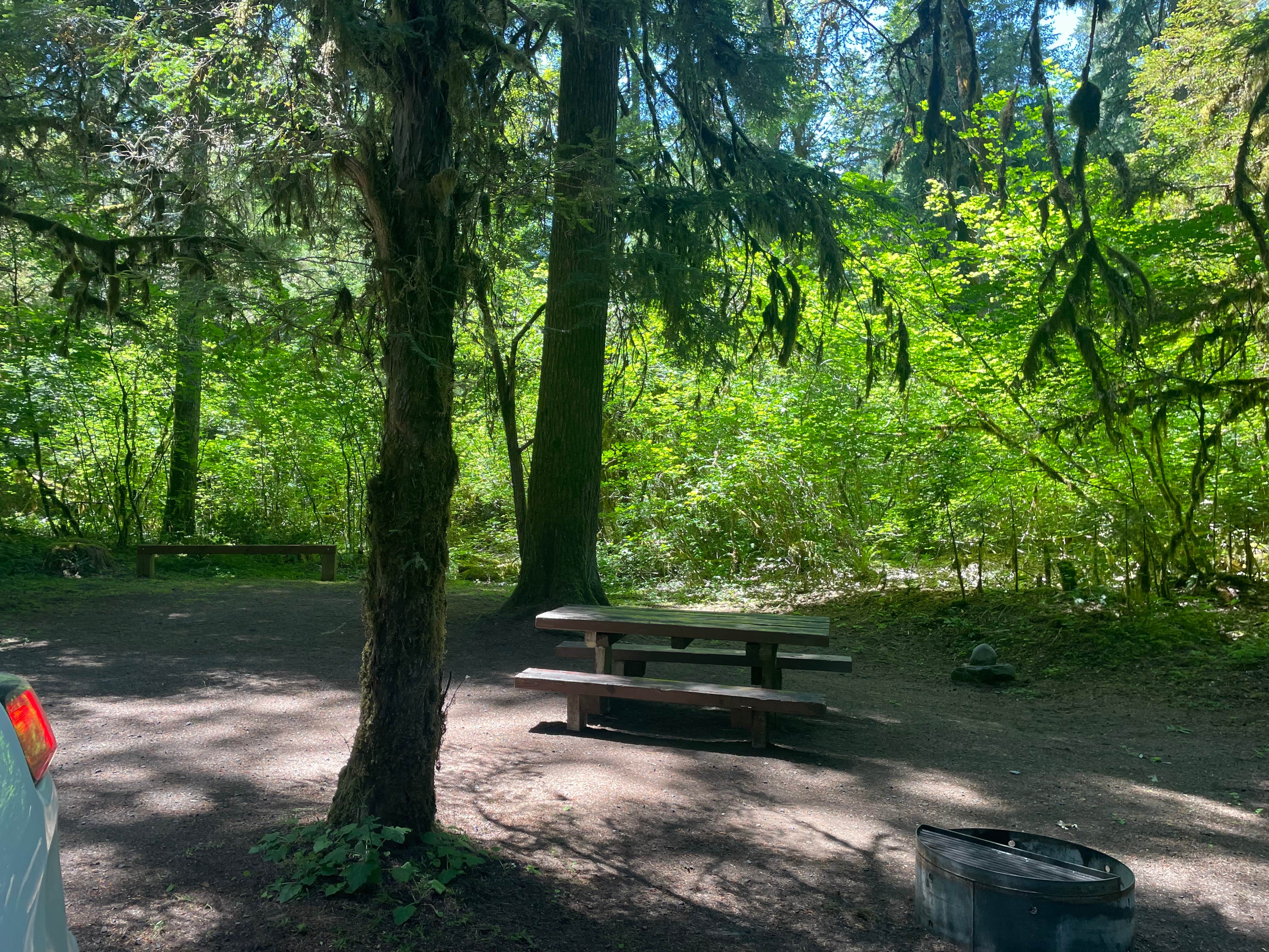 Camper-submitted photo at Kiahanie Campground near Oakridge, OR