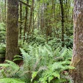 Review photo of Dairy Creek West — L.L. Stub Stewart Memorial State Park by Clark V., May 31, 2026