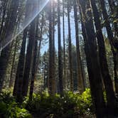 Review photo of Dairy Creek West - L L Stub Stewart State Park — L.L. Stub Stewart State Park by Tim C., April 15, 2025