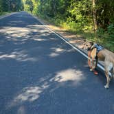 Review photo of Lake Harriet by ChiAnn M., April 4, 2025