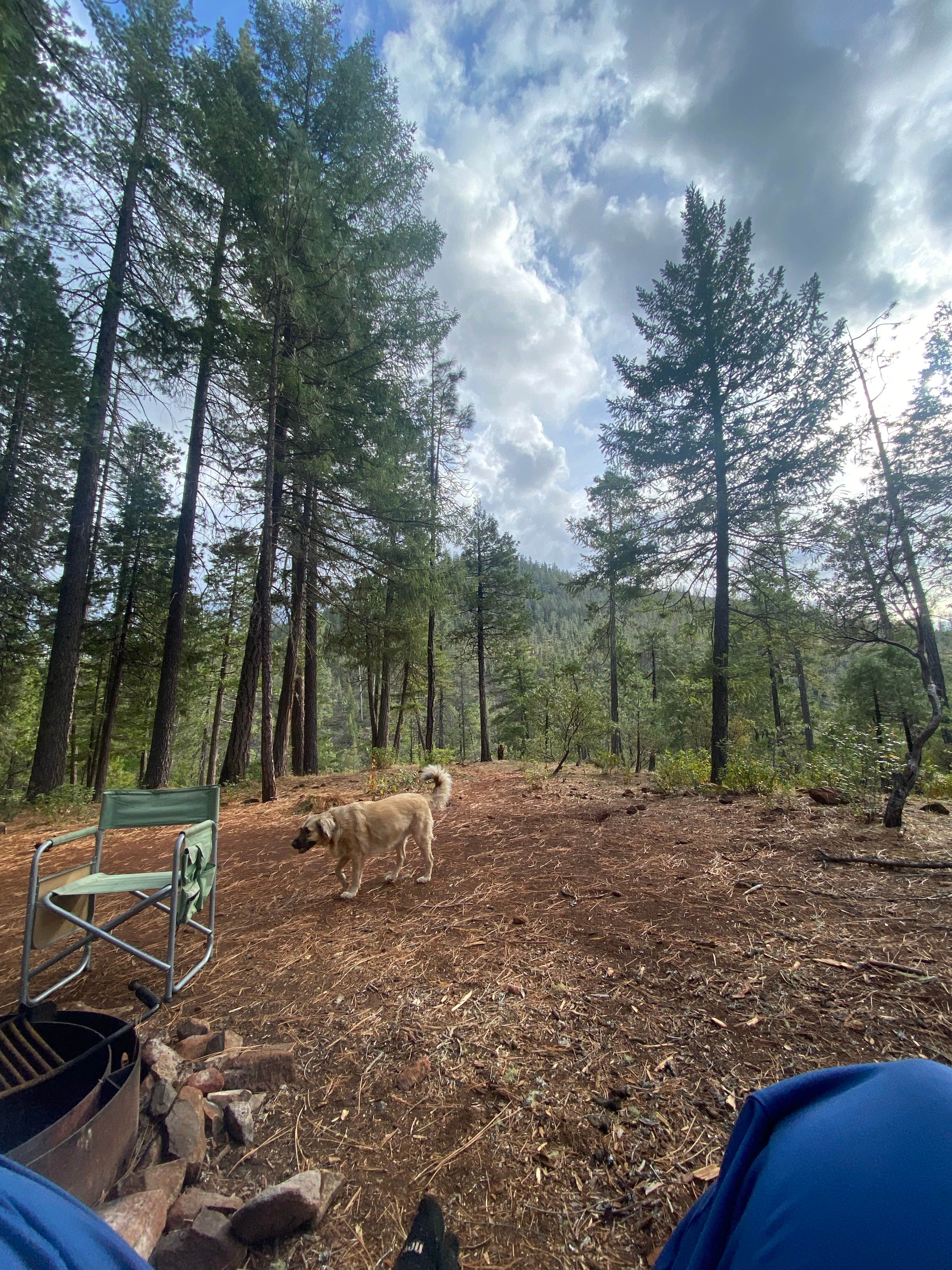 Imerie T.'s photo of tent camping at Little Falls Campground near White City, OR