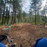 Review photo of Little Falls Campground by Imerie T., October 3, 2025