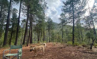 Imerie T.'s photo at Little Falls Campground near Selma, OR