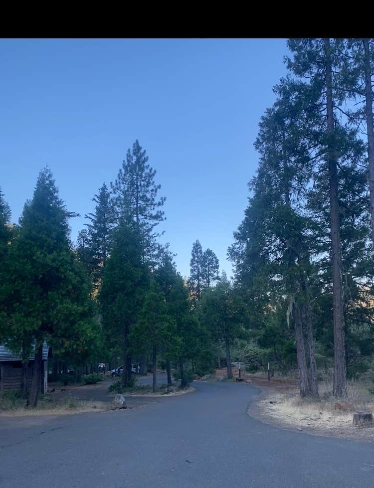 Camper-submitted photo at Little Falls Campground near Wilderville, OR