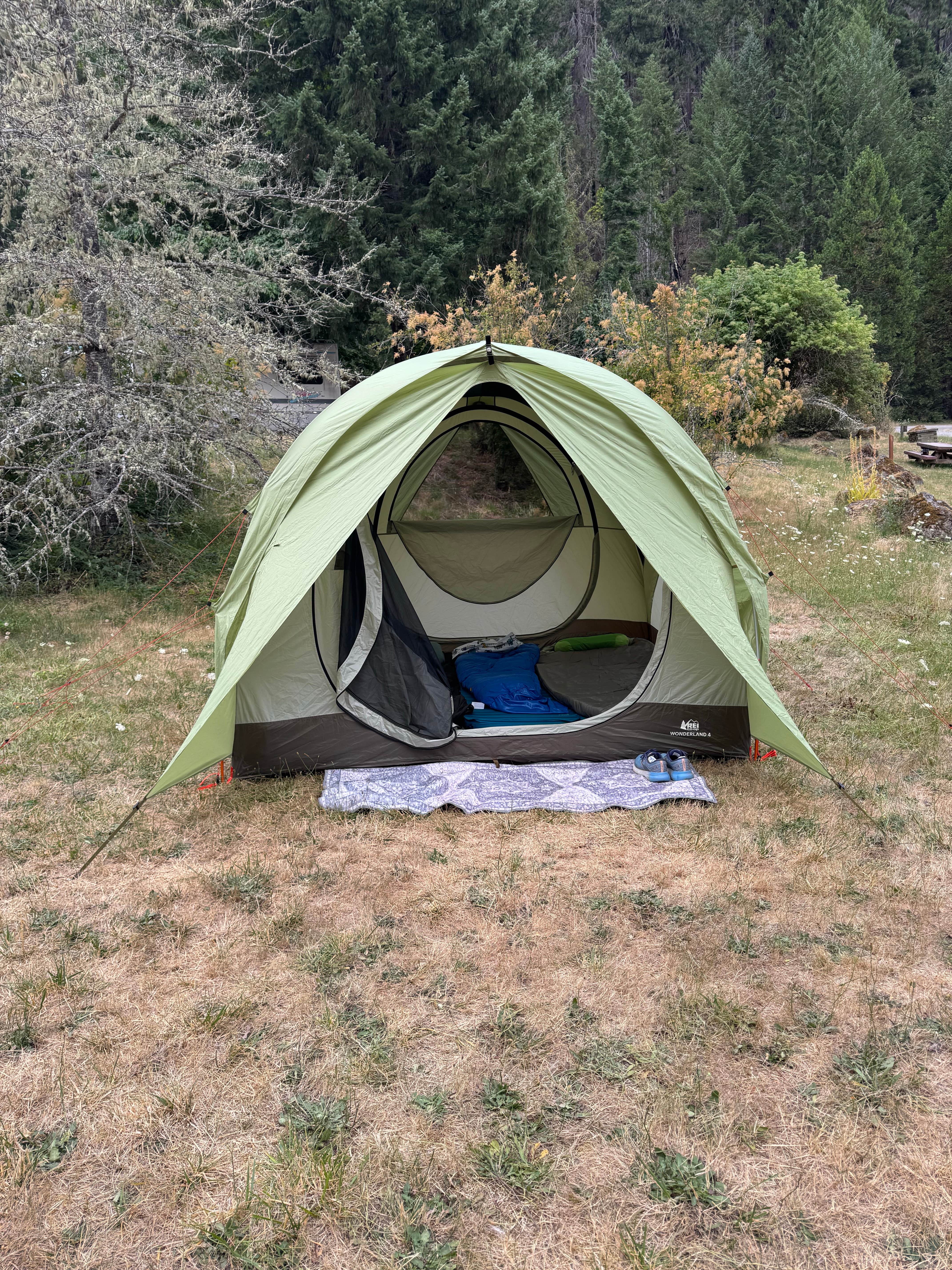 Camper-submitted photo at Lookout Campground near Willamette National Forest