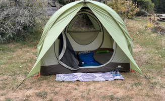 Carrie S.'s photo at Lookout Campground near Willamette National Forest