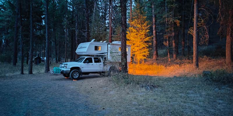 Camper submitted image from Lower Camp Creek Forest Camp