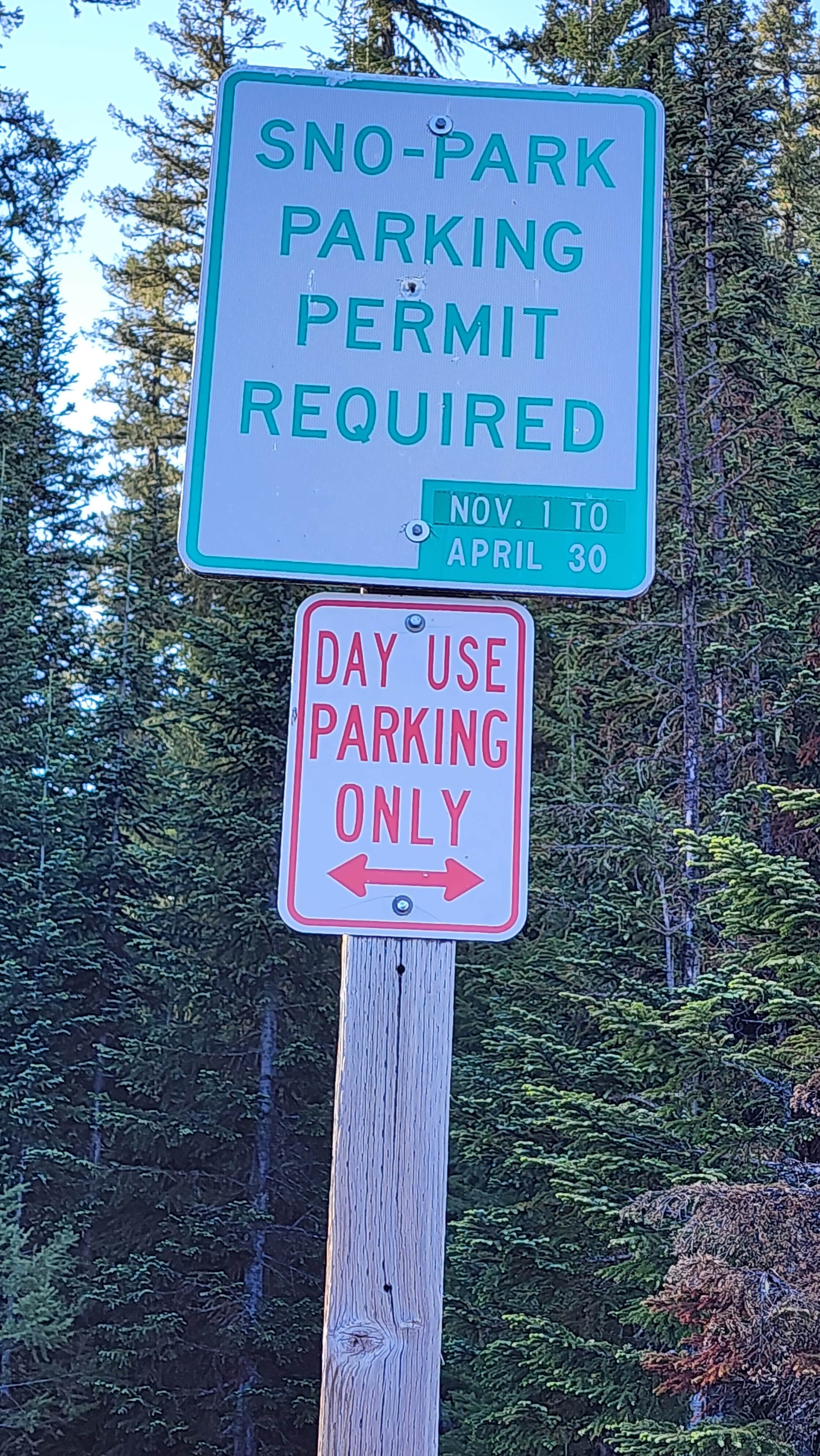 Camper-submitted photo at Maxwell Sno-Park near Mckenzie Bridge, OR