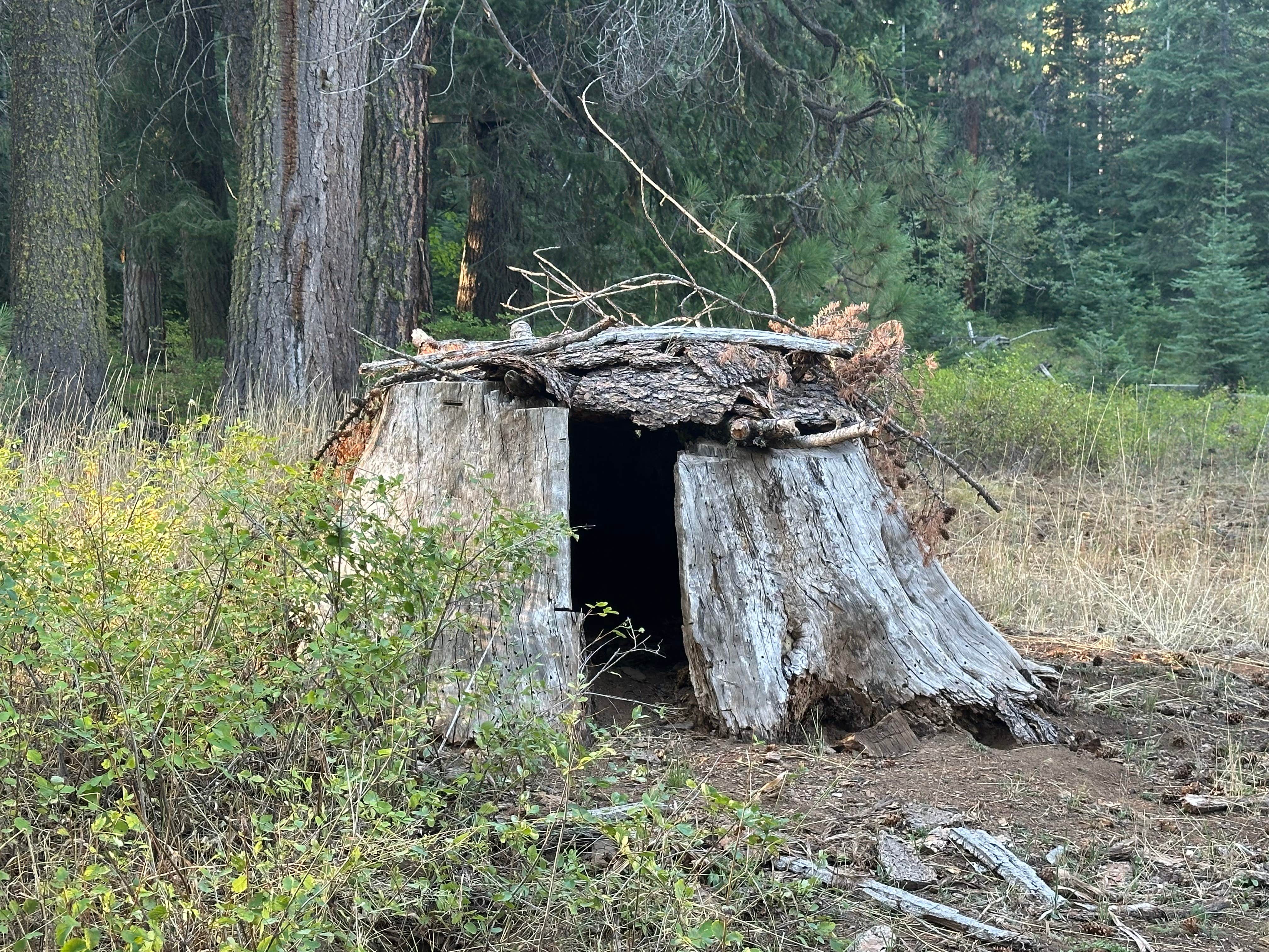 Camper-submitted photo at McBride Campground near Halfway, OR
