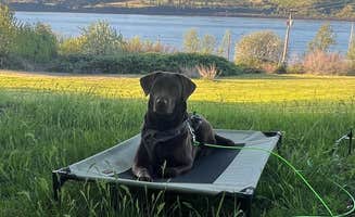 Caitlyn R.'s photo of camping with pets at Memaloose State Park Campground near The Dalles, OR