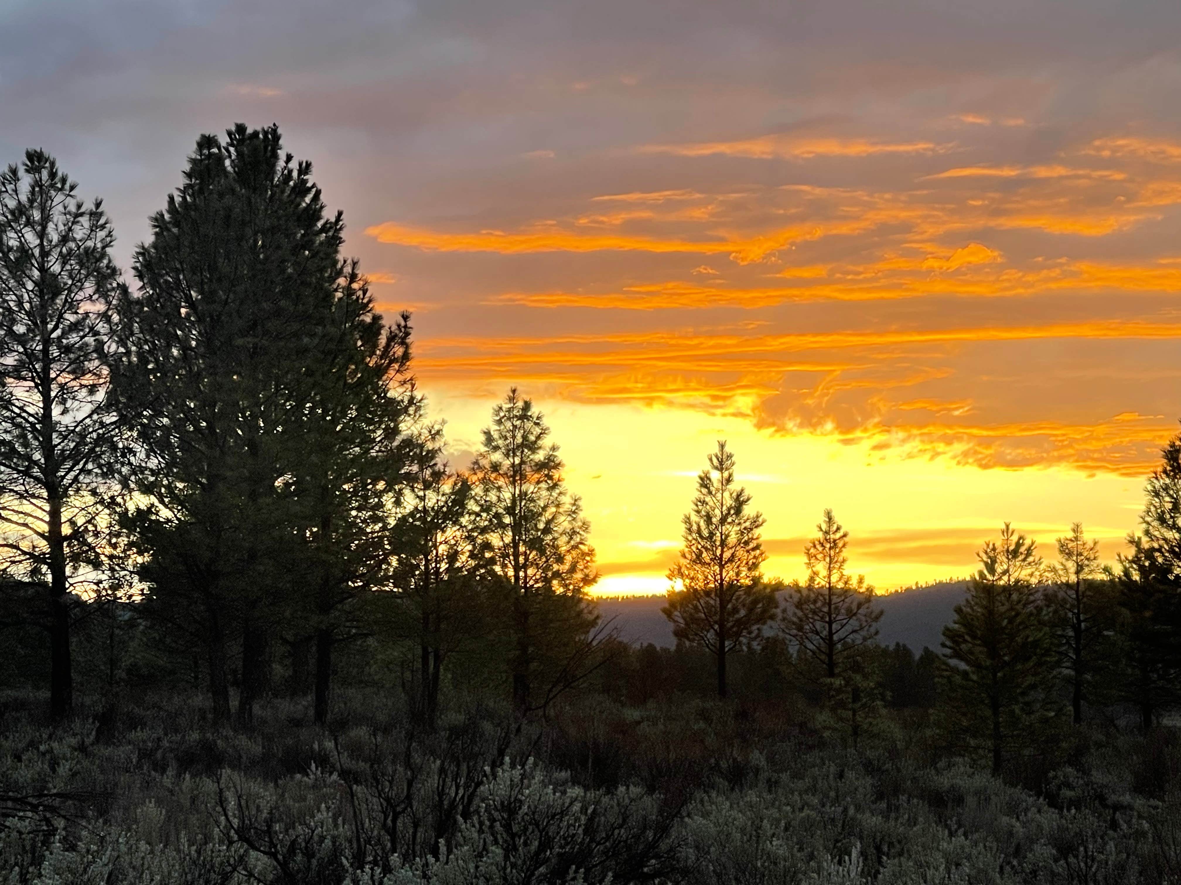 Camper-submitted photo at Millers Lane near Sumpter, OR