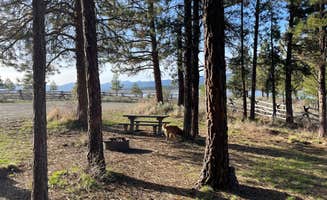 James W.'s photo of camping with pets at Millers Lane near Prairie City, OR