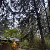 Review photo of Milo McIver State Park Campground by Emmi O., September 15, 2026