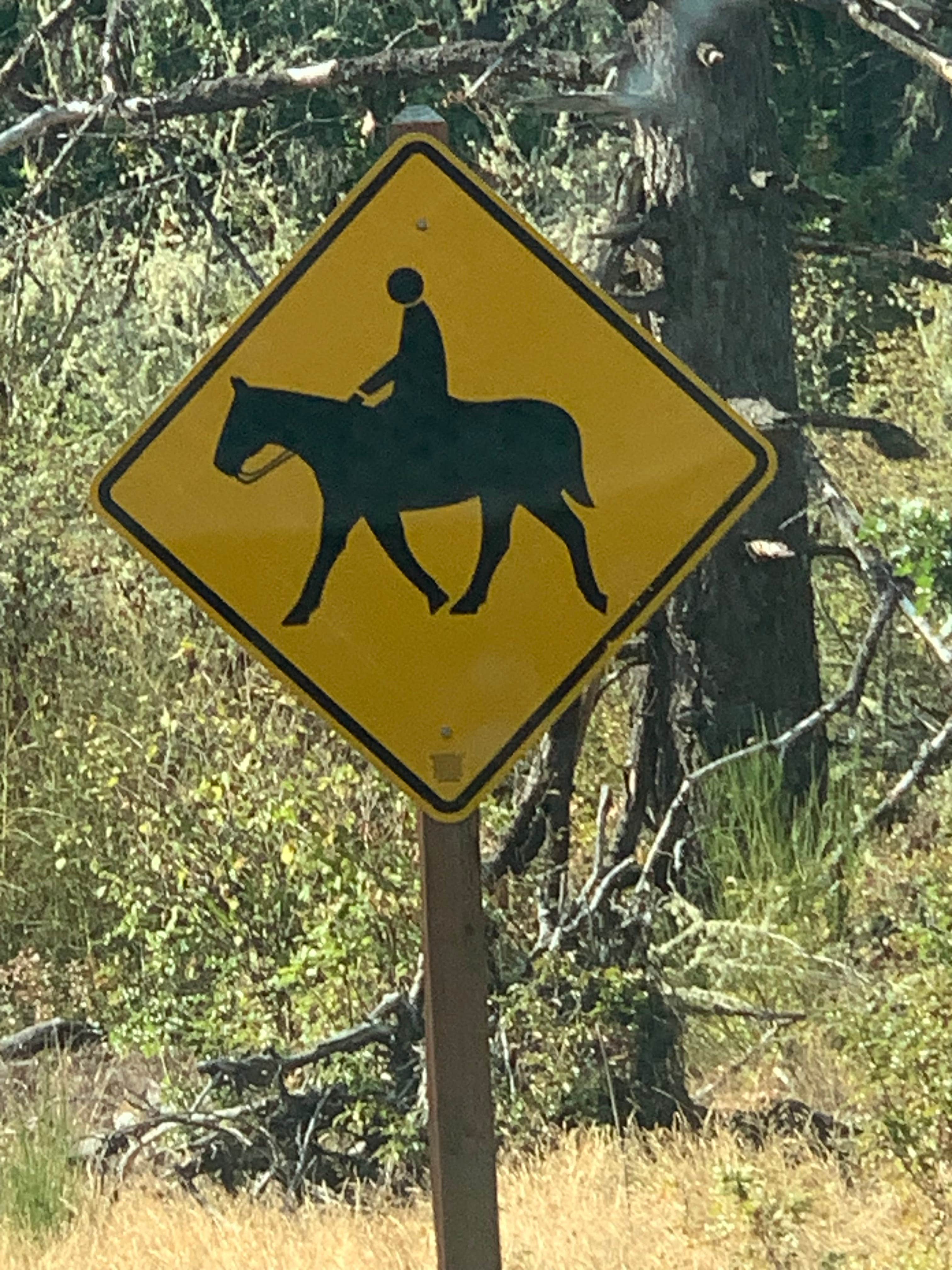 S. Renae M.'s photo of camping with a horse at Milo McIver State Park Campground near Vancouver, WA