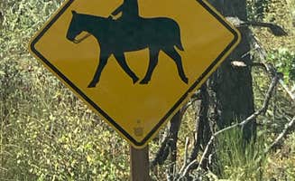 S. Renae M.'s photo of camping with a horse at Milo McIver State Park Campground near Camas, WA