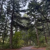 Review photo of Milo McIver State Park Campground by Emmi O., September 15, 2026