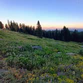 Review photo of Mount Ashland Campground by Eileen B., July 28, 2026