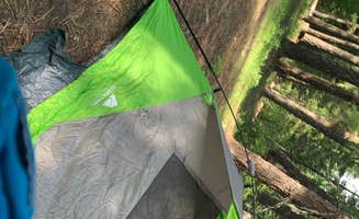 cheryl's photo at Natural Bridge Campground in Oregon