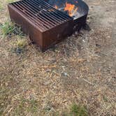 Review photo of Nehalem Bay State Park Campground by Diana L., July 12, 2025