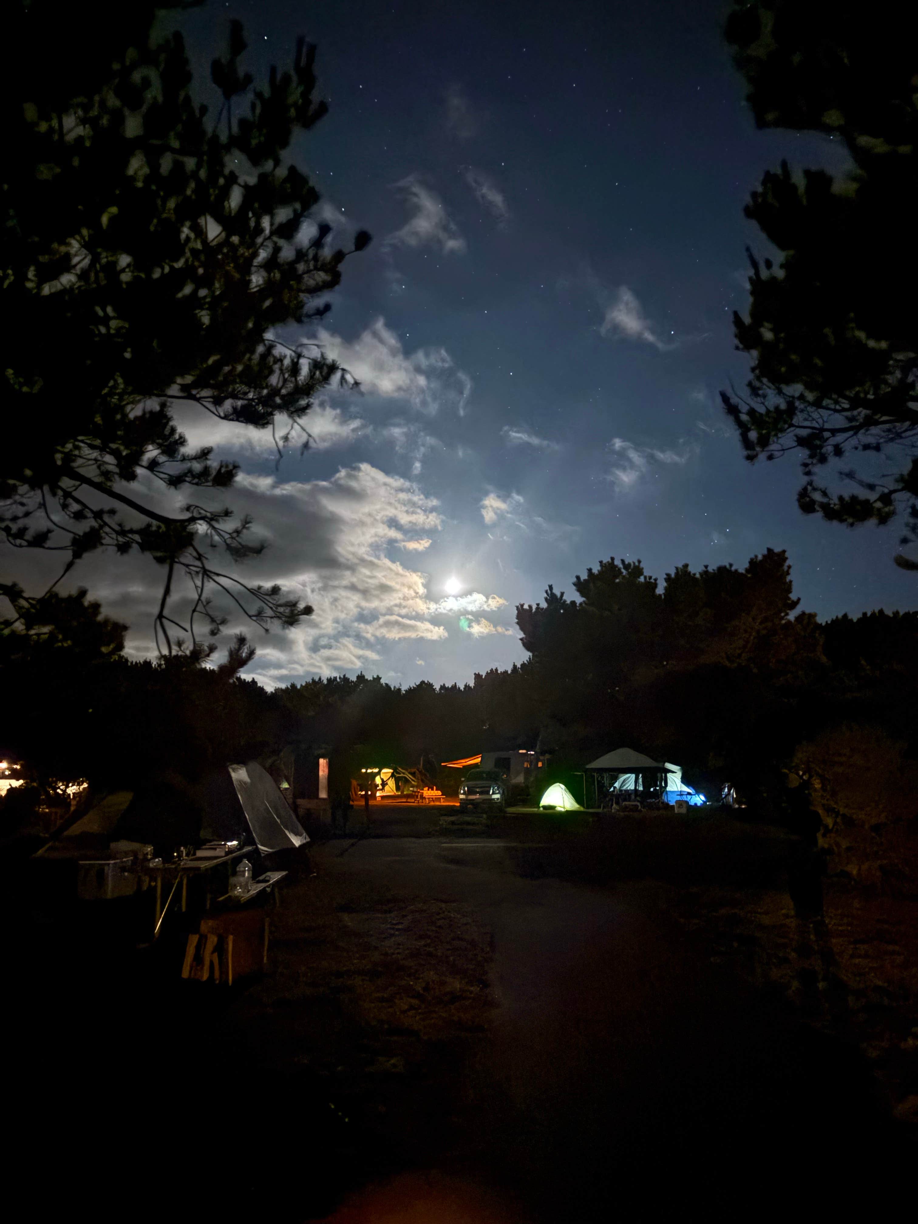 Kateryna K.'s photo at Nehalem Bay State Park Campground near Cannon Beach, OR