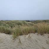 Review photo of Nehalem Bay State Park Campground by Steve M., August 24, 2025
