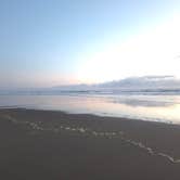 Review photo of Nehalem Bay State Park Campground by Christina F., August 7, 2026