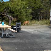 Review photo of Nehalem Bay State Park Campground by Diana L., July 12, 2025