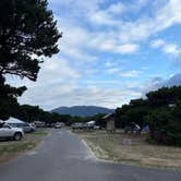 Review photo of Nehalem Bay State Park Campground by Kateryna K., September 8, 2025