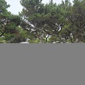 Review photo of Nehalem Bay State Park Campground by Steve M., August 24, 2025