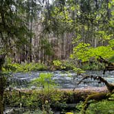 Review photo of Olallie Campground by Jenna B., May 28, 2024