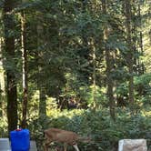 Review photo of Oxbow Regional Park by Aimee H., August 2, 2026