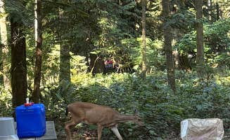 Aimee H.'s photo at Oxbow Regional Park near Battle Ground, WA