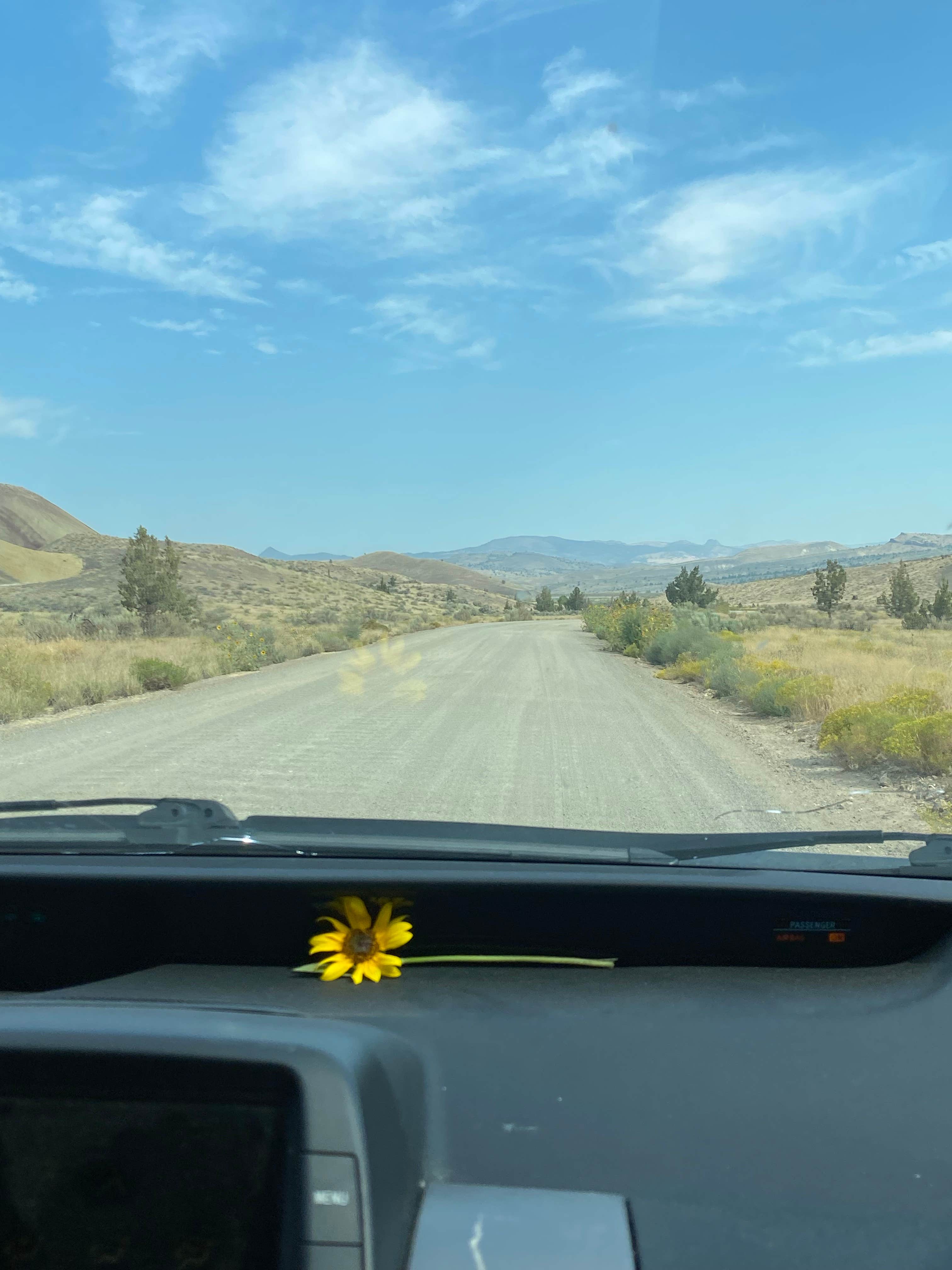Brooklyn P.'s photo of a dispersed camping area at Painted Hills Dispersed near Kimberly, OR