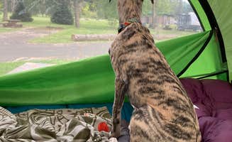 Jill R.'s photo at Pine Meadows Campground near Dorena Lake