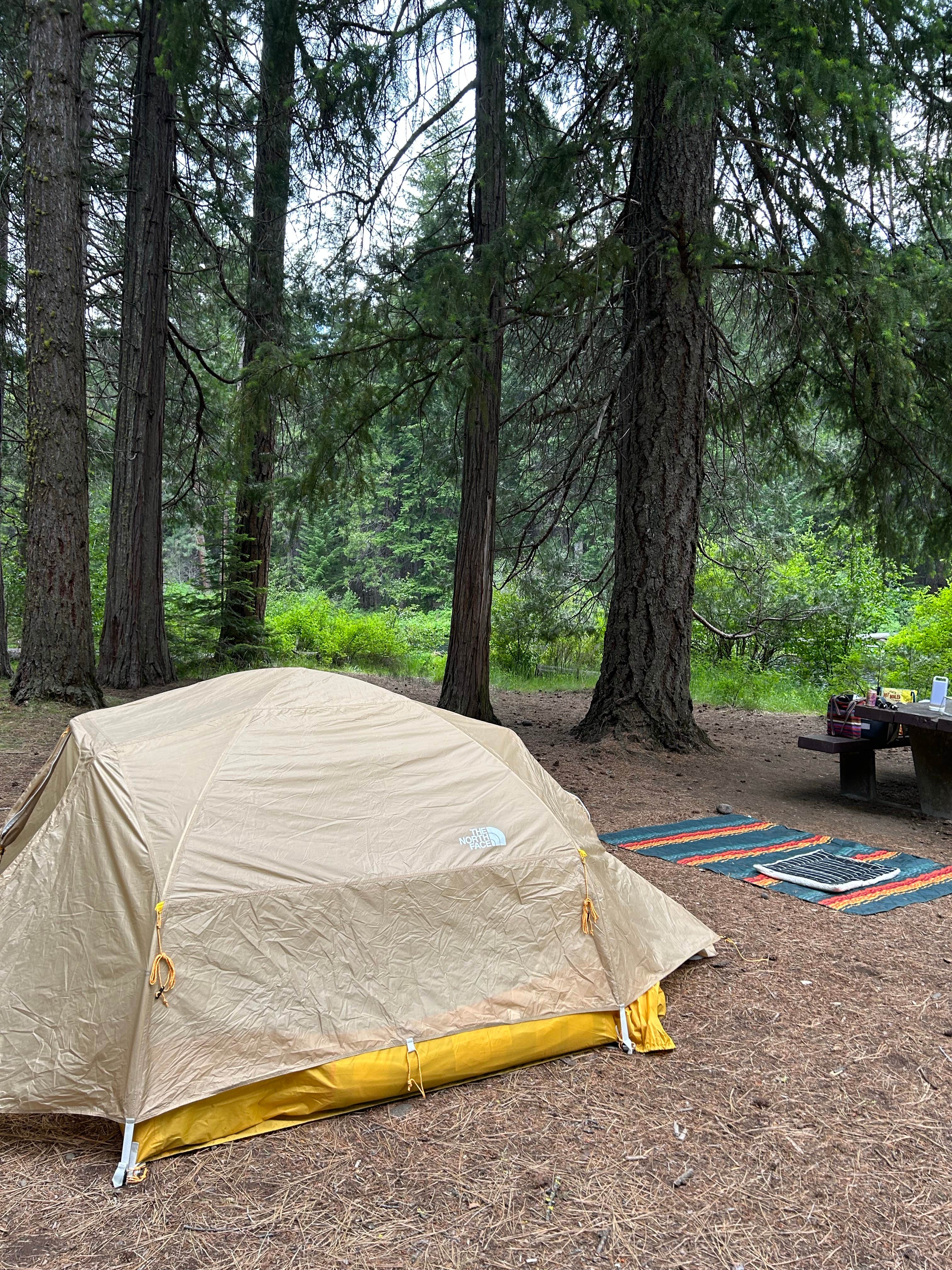 Stacy L.'s photo at Pioneer Ford Campground near Camp Sherman, OR