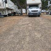 Review photo of Port of Siuslaw Campground & Marina by Carrie G., September 3, 2026