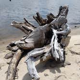 Review photo of Port of Siuslaw Campground & Marina by Angelina R., July 10, 2026
